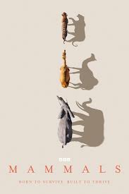 Mammals (2024) S1